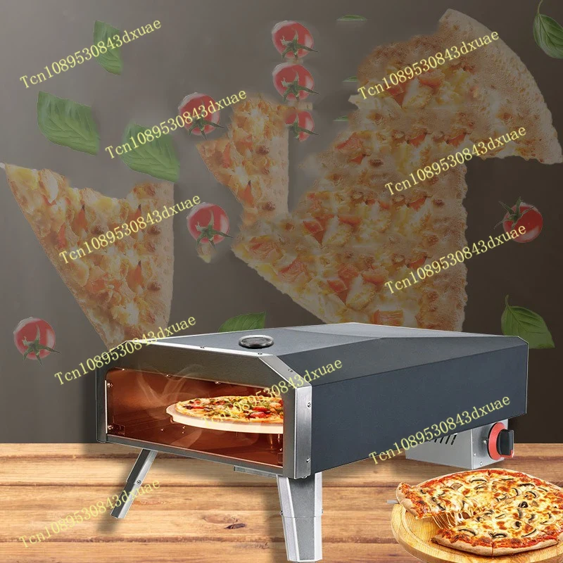 Forno per pizza a gas da campe - Camping Cooking Stove recensione e prezzo